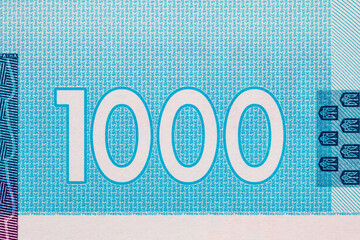 Fragment of Banknote of 1000 hryvnias of Ukraine. Money of Europe and Ukraine.