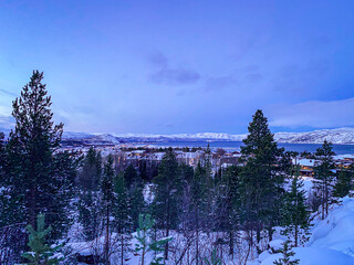 Blick auf Alta, Fjord und verschneite Berge