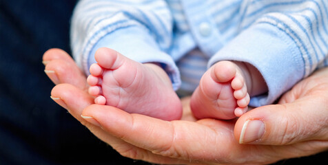 Close-up of tiny baby feet in adult hands, gentle care and love