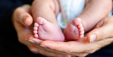 Tender Moment: Adult Hands Cradling Newborn Baby's Pink Feet