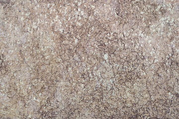 Texture of old paint with cracks