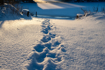 Path on the bank of a river covered with snow