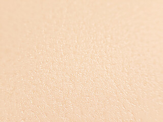 Close-up of Healthy Human Skin Texture