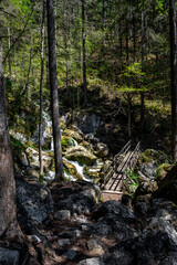 Hiking Trail With Wooden Bridge Over Waterfall Through Green Canyon At Myrafaelle In Austria