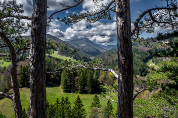 Rural Summer Landscape With Forest, Mountains And Green Pastures In Austria