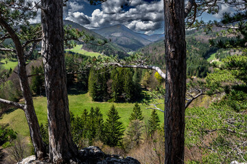 Rural Summer Landscape With Forest, Mountains And Green Pastures In Austria