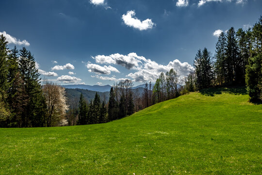 Rural Summer Landscape With Forest And Green Pastures In Austria