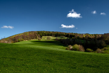 Rural Summer Landscape With Forest And Green Pastures In Austria
