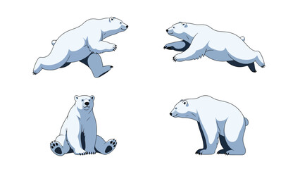 Arctic Polar Bear Character Illustration Set in Different Action Poses: Running, Sitting, and Standing Cartoon Animal Vector Collection
