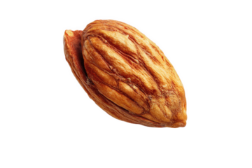 Single cocoa pod isolated on transparent background