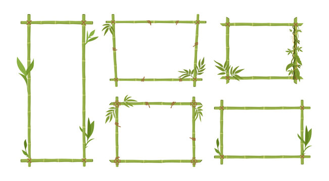 Bamboo frames. Jungle borders with green bamboo sticks and leaves wooden planks exotic signs flat vector illustration set. Cartoon bamboo frames