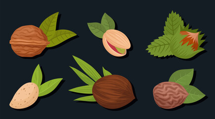 Raw nuts. Almond, cashew and walnut with leaves, vegetarian diet organic snack flat vector illustration set. Delicious nuts on dark background