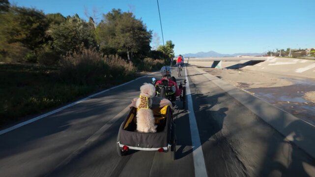 Elderly woman rides an electric tricycle with a dog in a trailer beside a path on a sunny day while enjoying the outdoors