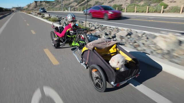 Elderly woman enjoys biking on an electric tricycle with her dog in a trailer behind. They ride along a road surrounded by nature.