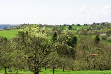 Blick in die Landschaft im Kreis Esslingen