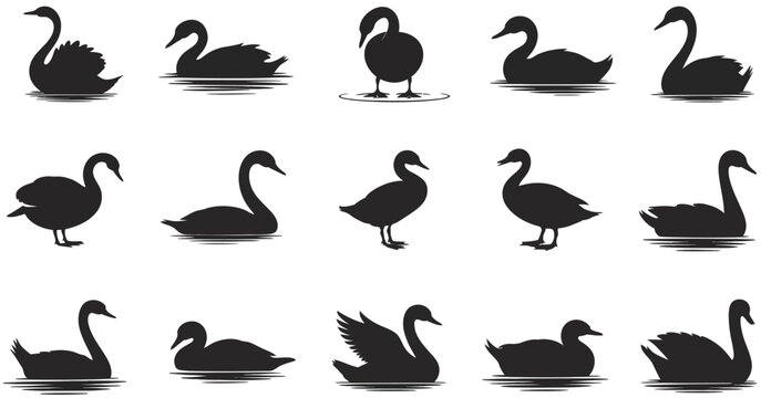 Elegant silhouette vector icon set featuring swans and ducks for nature themed designs, wildlife illustrations, logos, posters, branding, education, and creative graphic projects