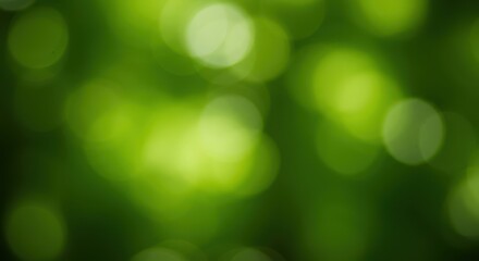 Obraz premium Abstract, vibrant green forest background, completely blurred and unfocused, creating a soft, natural bokeh effect ,nature, trees, template