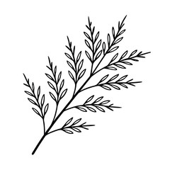 micro botanical twig pattern