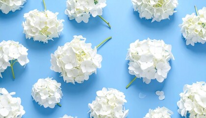 &ldquo;Pattern of white hydrangea flowers green leaves bright blue background fresh vibrant botanical aesthetic&rdquo;