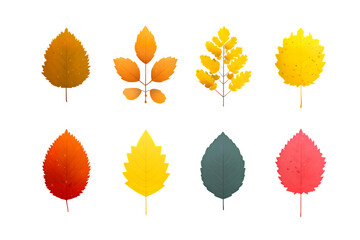 A collection of colorful autumn leaves on transparent background