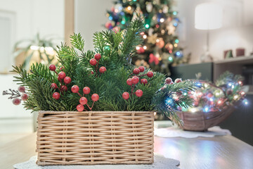 Dekoracja na święta Bożego Narodzenia z gałązek świerku i czerwonych jagód w koszu z wikliny © PIOTR D