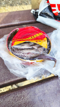 ISERLOHN, GERMANY &mdash; DECEMBER 29 2025: opened surstromming can with fish highlighting food waste, hygiene concerns, and urban littering in public space