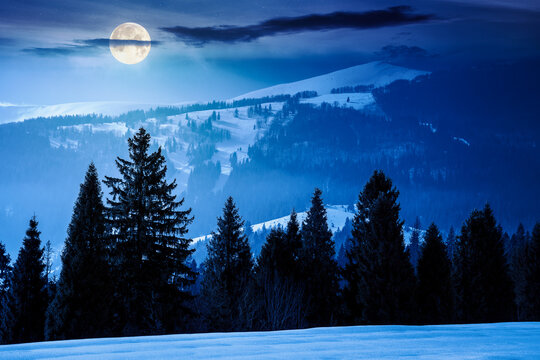 winter landscape at night. fir trees on snow covered hill in full moon light. mysterious place in mountains. winter wonderland background for photo travel. backdrop for fiction art or mystery concepts