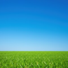 A peaceful outdoor scene showing bright green grass meeting a wide expanse of deep blue sky on a clear sunny day ,horizon ,pattern ,ecology