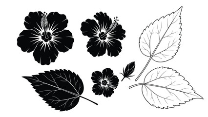 Black silhouettes of hibiscus flowers and various leaves, ideal for tropical botanical illustrations and nature themes.