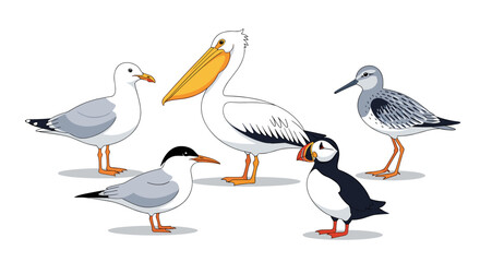 Obraz premium Seabirds Wildlife Illustration: Group of diverse shorebirds including pelican, puffin, seagull, and tern standing together creates a charming cartoon scene, ideal for children's ed.