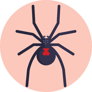 A simple spider symbol representing Australia&rsquo;s well-known native arachnids, commonly associated with the country&rsquo;s unique and sometimes dangerous wildlife.