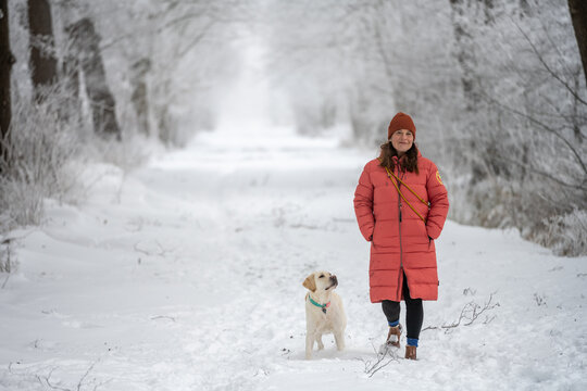 Woman stands in snow with Labrador dog looking up on a frosty tree-lined winter trail