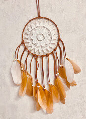 Close-up of brown feather dreamcatcher, handcrafted DIY decoration, boho-style home ornament, native-inspired hanging, detailed macro shot of artistic craftwork. High quality photo