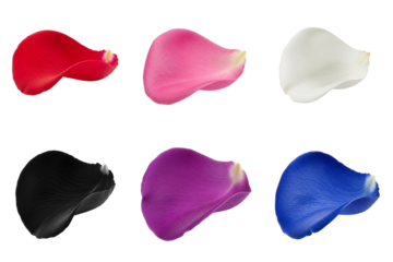 Various colored flower petals for decoration and floral design