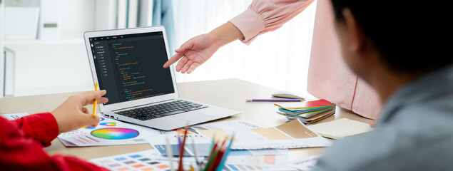 Software development programming on computer screen for brisk application and program coding