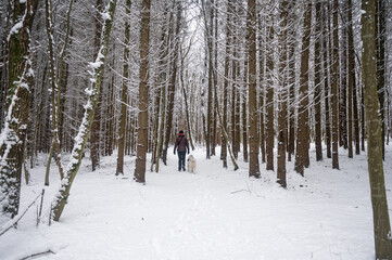 Person walking dog in snowy forest during winter