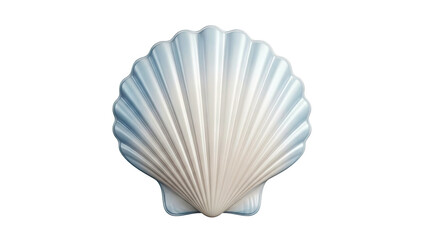 Iridescent Scallop Shell Sculpture