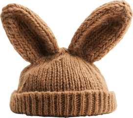 brown rabbit with hat