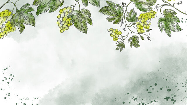Watercolor video screensaver banner with green grape clusters and vine leaves on soft background. Elegant food and wine motion background perfect for winery ads, menu screens, branding, and vineyard