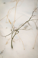 Zima © Karolina Fotografie