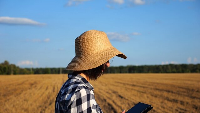 Adult farmer using digital tablet at wheat meadow on sunny day. Female agronomist monitoring harvest at barley field. Beautiful scenic landscape. Concept of agricultural business. Slow motion