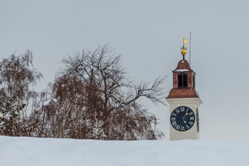 Clock tower of Petrovaradin Fortress rising above snow-covered foreground with bare winter trees, iconic landmark of Novi Sad captured in a calm minimal winter scene.