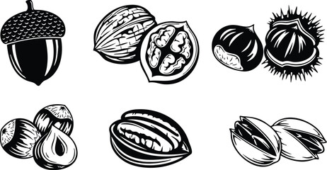 Woodcut style close up assorted nuts collection acorn walnut chestnut hazelnut pecan pistachio botanical arrangement top view black ink vector illustration engraving texture bold lines high