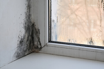 Close-up view of mold on window frame with noticeable discoloration and damage to surface. Detailed shot of window frame showing clear mold growth and surface damage, sign of poor maintenance.