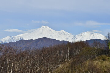 Fototapeta premium The nature of the Kamchatka Peninsula combines mountainous landscapes and forested areas, and is characterized by its unique topography, flora, and fauna, as well as its climate.