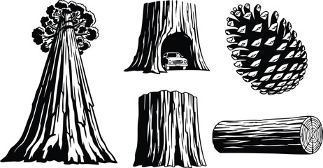 Fototapeta premium Linocut style front view giant tree with hollow trunk and small car visible pine cone stump log cross section detailed wood grain vector artwork black white