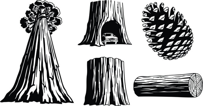 Linocut style front view giant tree with hollow trunk and small car visible pine cone stump log cross section detailed wood grain vector artwork black white