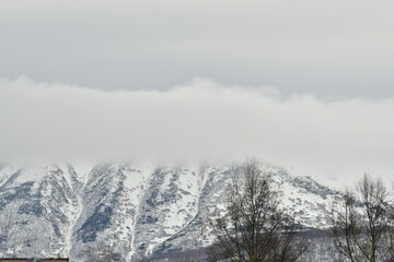 The nature of the Kamchatka Peninsula combines mountainous landscapes and forested areas, and is characterized by its unique topography, flora, and fauna, as well as its climate.