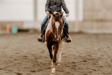 cowgirl riding horse