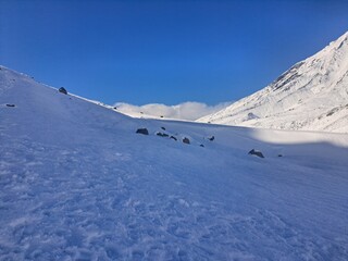 The nature of the Kamchatka Peninsula combines mountainous landscapes and forested areas, and is characterized by its unique topography, flora, and fauna, as well as its climate.